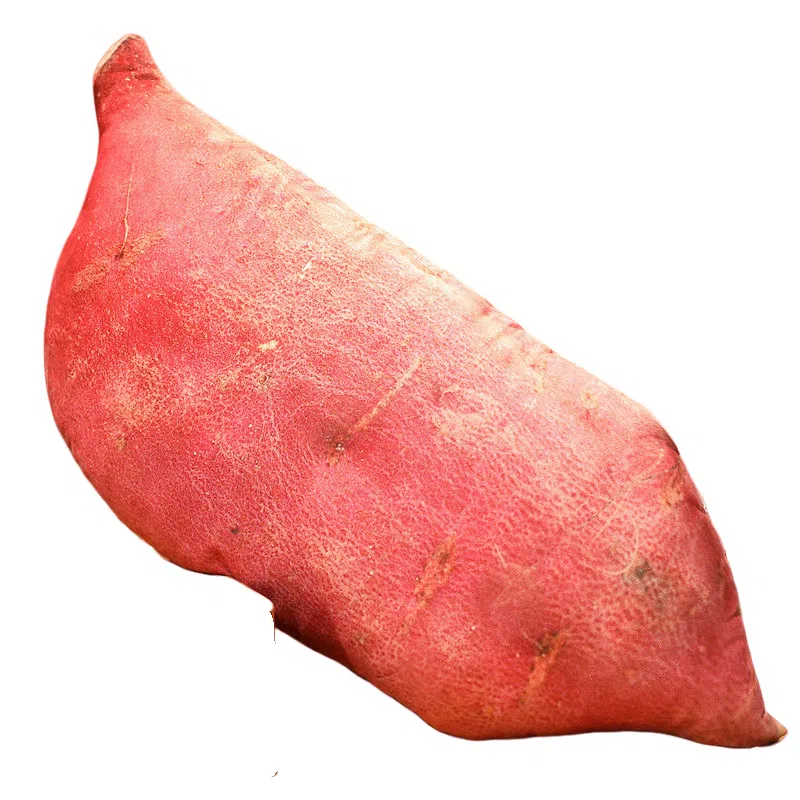 35cm40cm50cm60cm90cm110cm