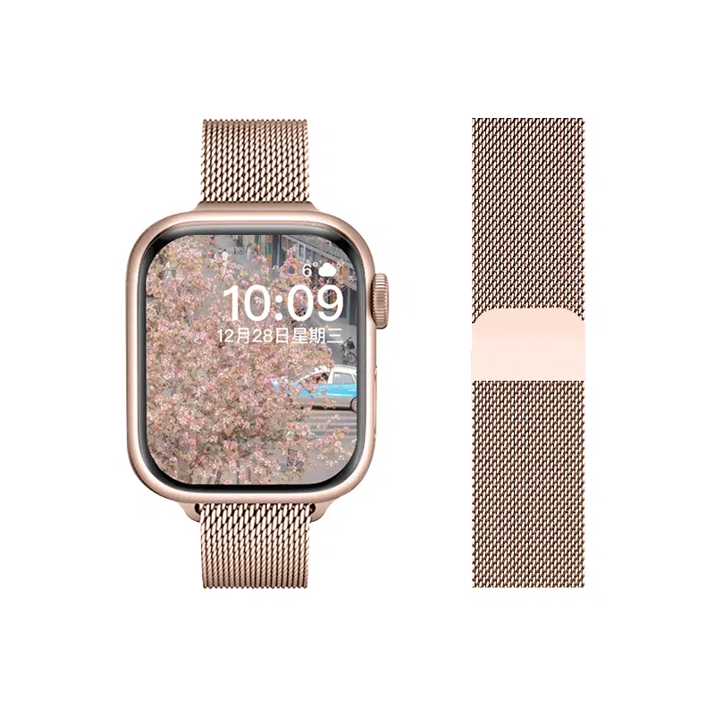 FZRT applewatchiWatchS987