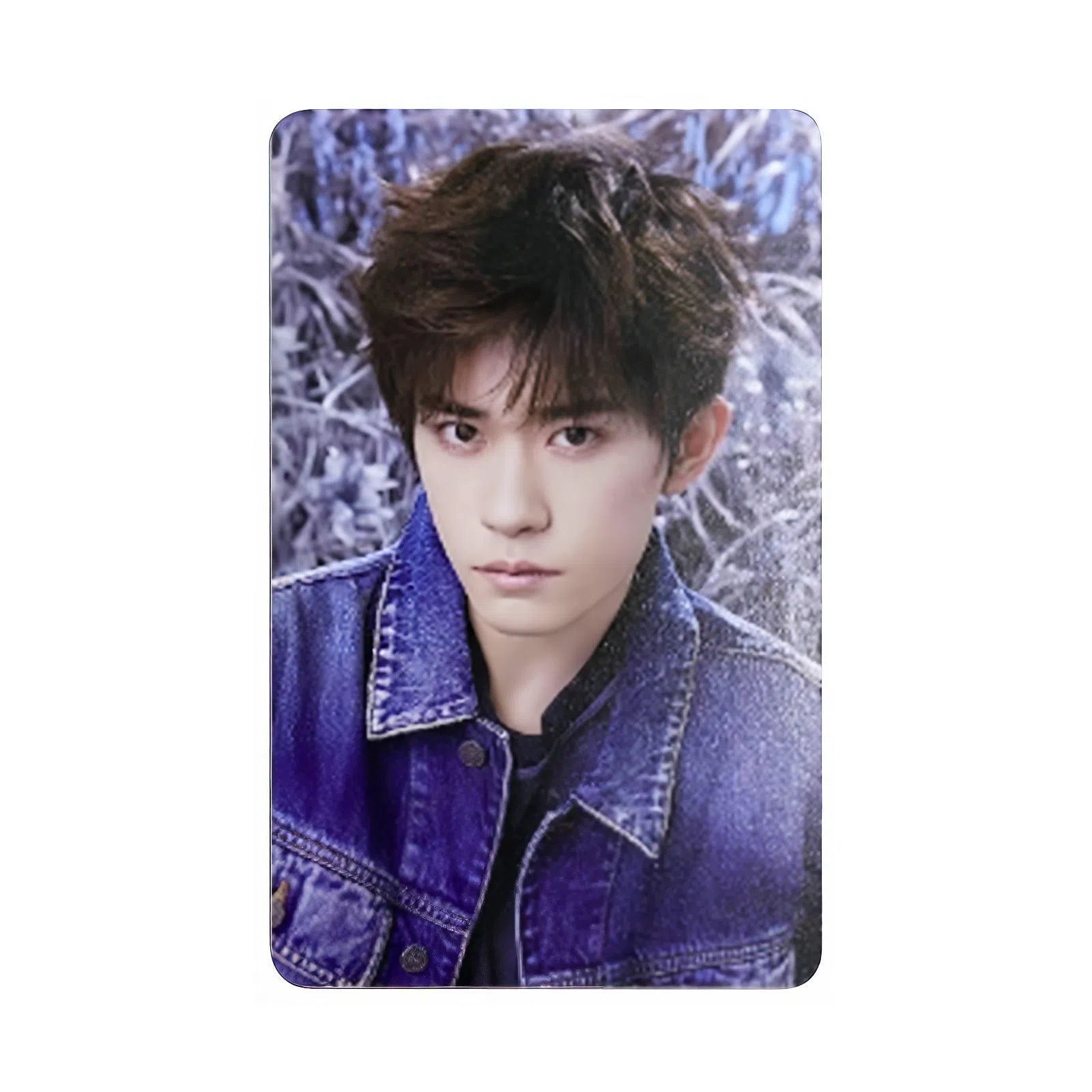 TF ENTERTAINMENT TFBOYS B