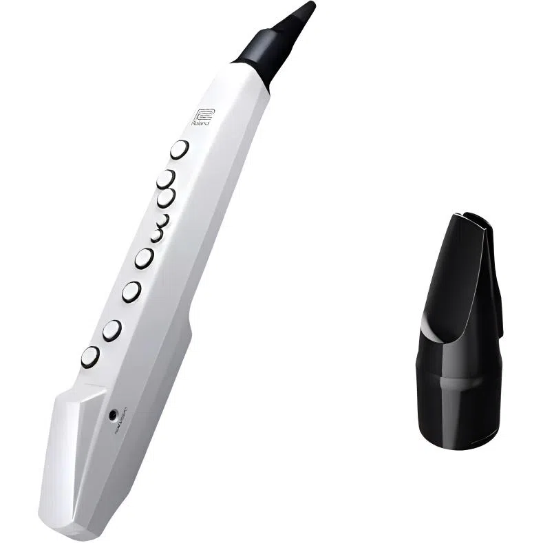 Roland AE01C " Aerophone
