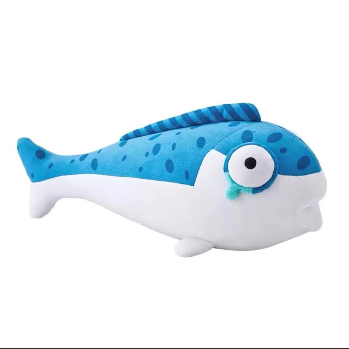 35cm50cm
