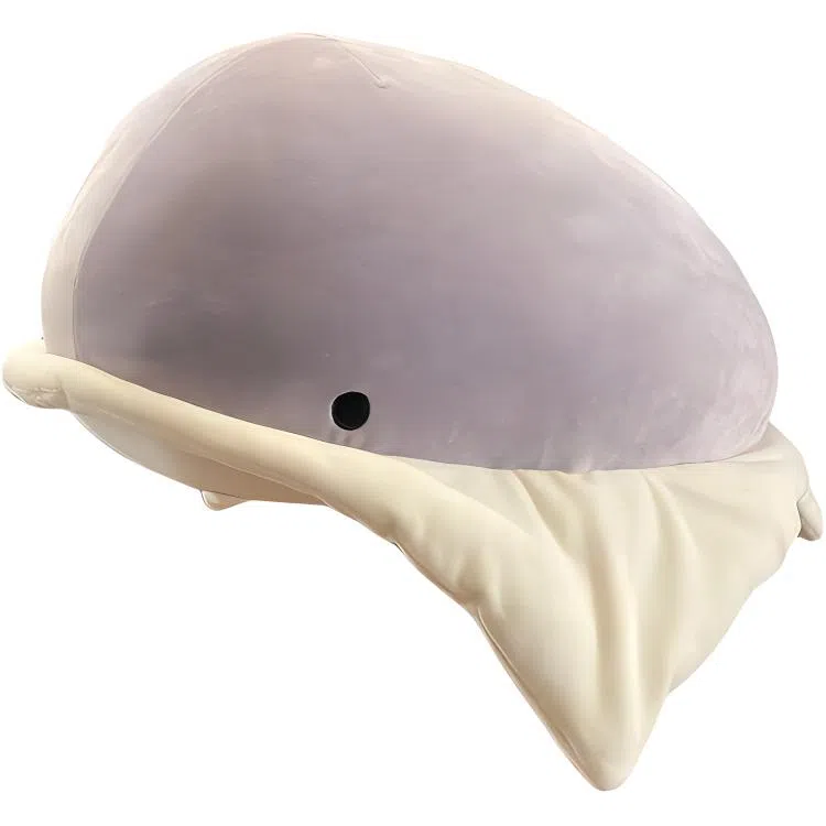 27cm55cm
