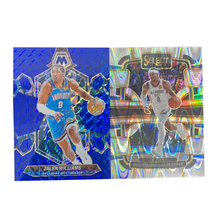 PANINI 2023-24 130199