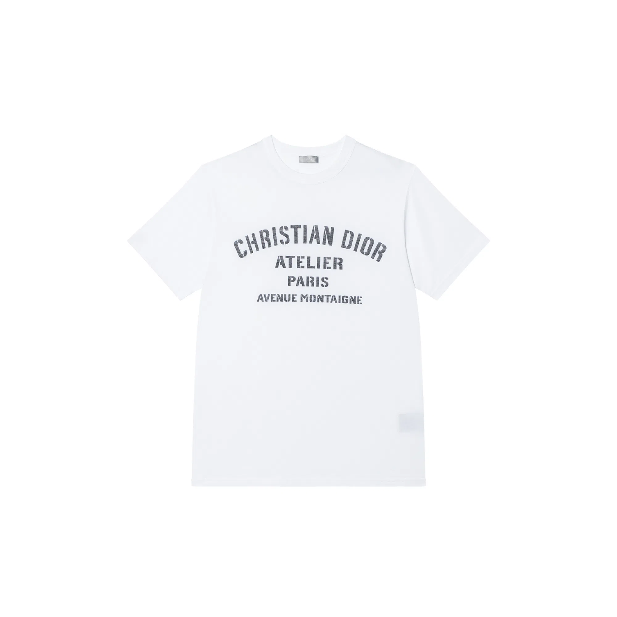 DIOR FW22 T