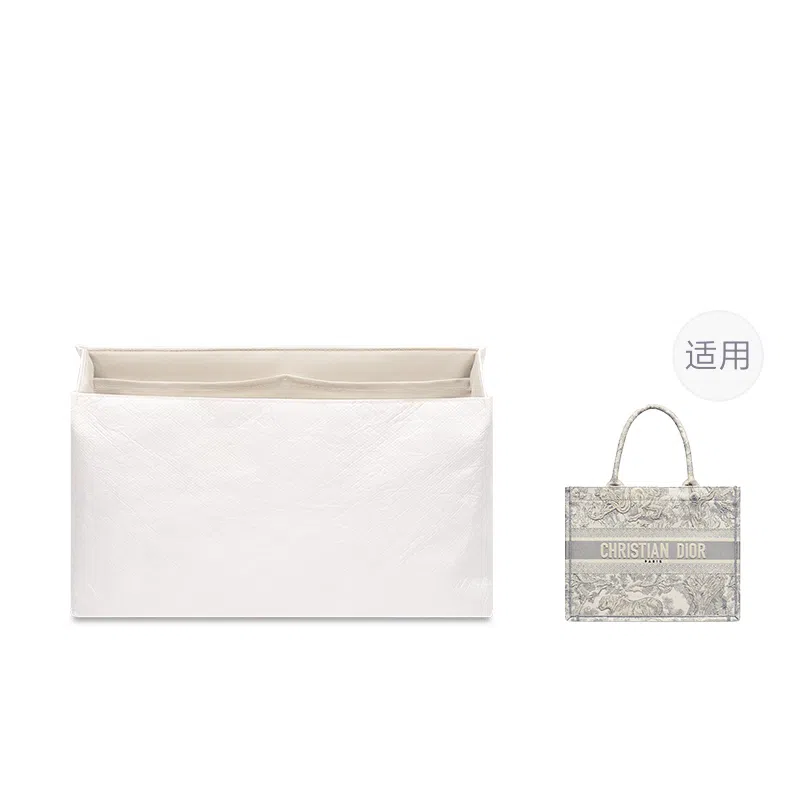 FANJI DIOR BookMini