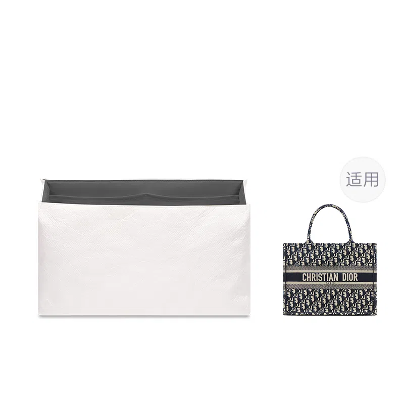 FANJI DIOR BookMini