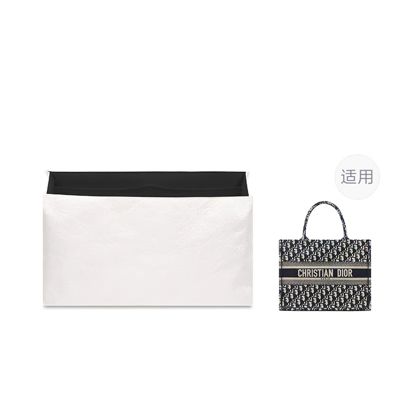 FANJI DIOR BookMini