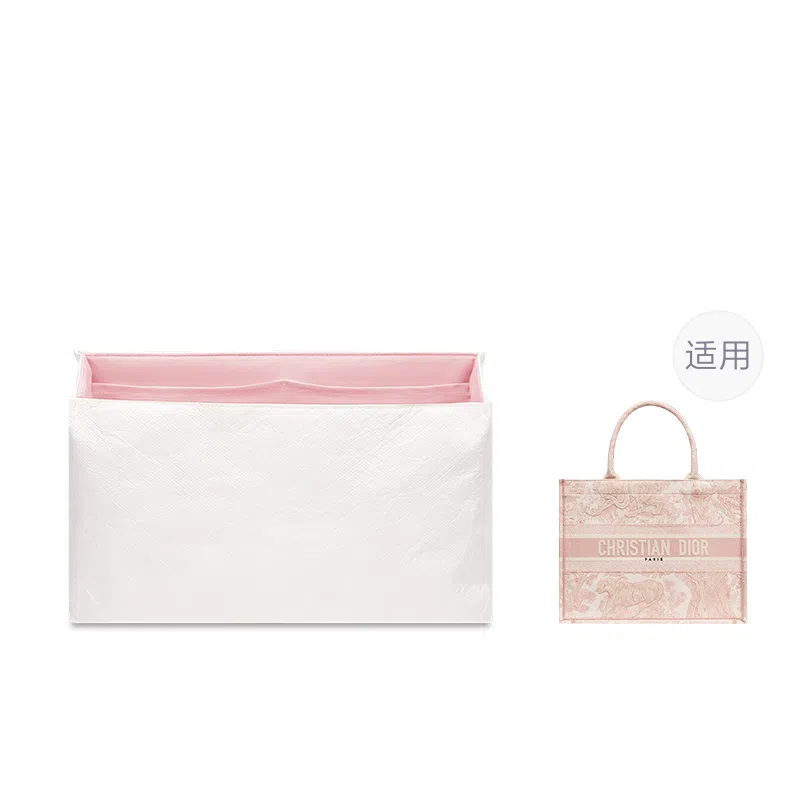 FANJI DIOR BookMini