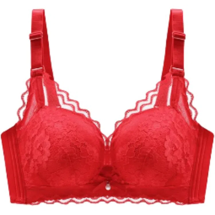 北极绒 小胸聚拢收副乳防下垂提拉调整型蕾丝无钢圈文胸 女款