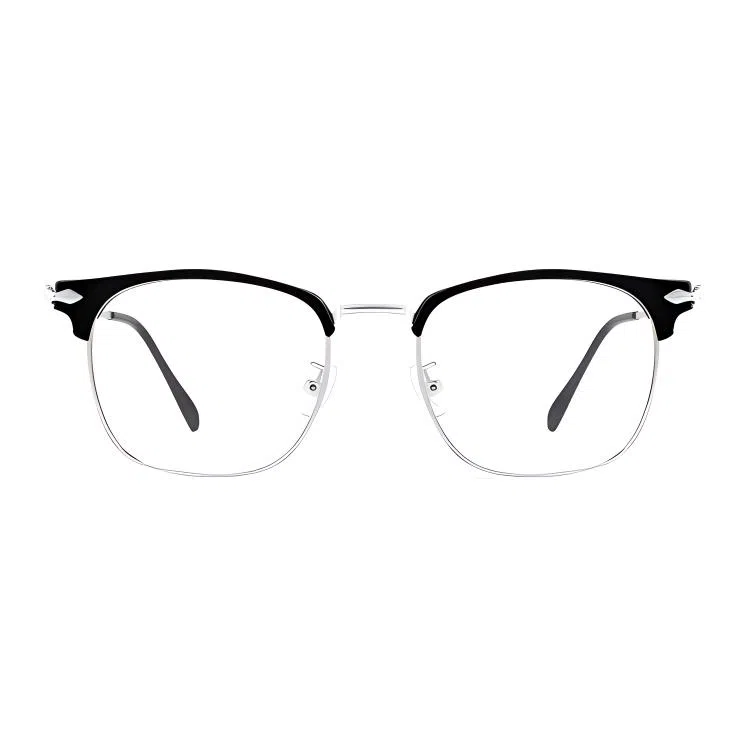 PARMU Optical Frame