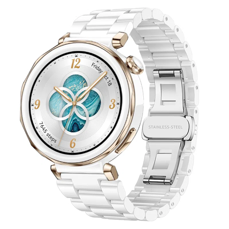 biaodaige watch4rogt5proGT5