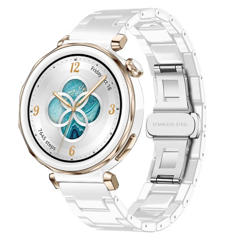 biaodaige watch4rogt5proGT5