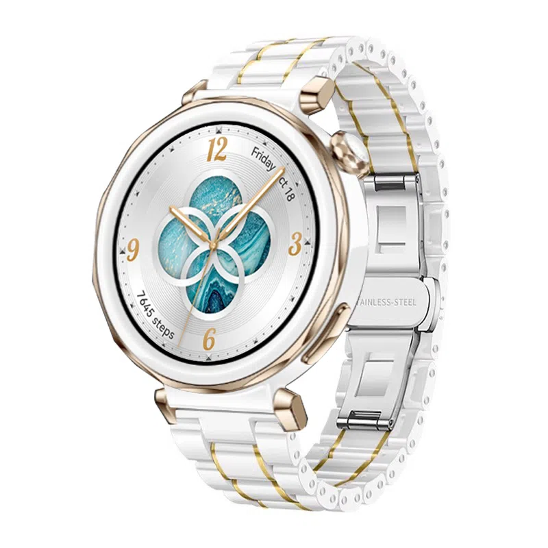 biaodaige watch4rogt5proGT5