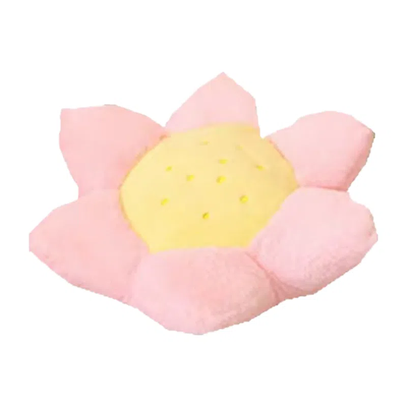 23cm35cm43cm45cm50cm