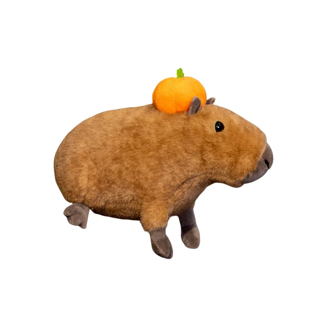 lionf 30cm