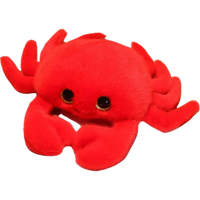 lionf 11cm25cm27cm28cm35cm