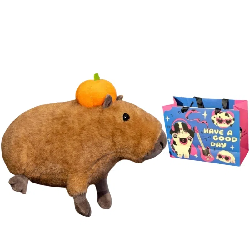lionf 30cm