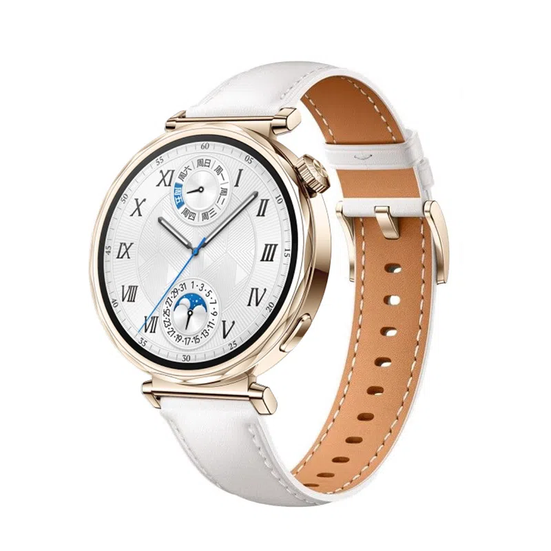 biaodaige GT5watch4rogt5probudsultimatemagic