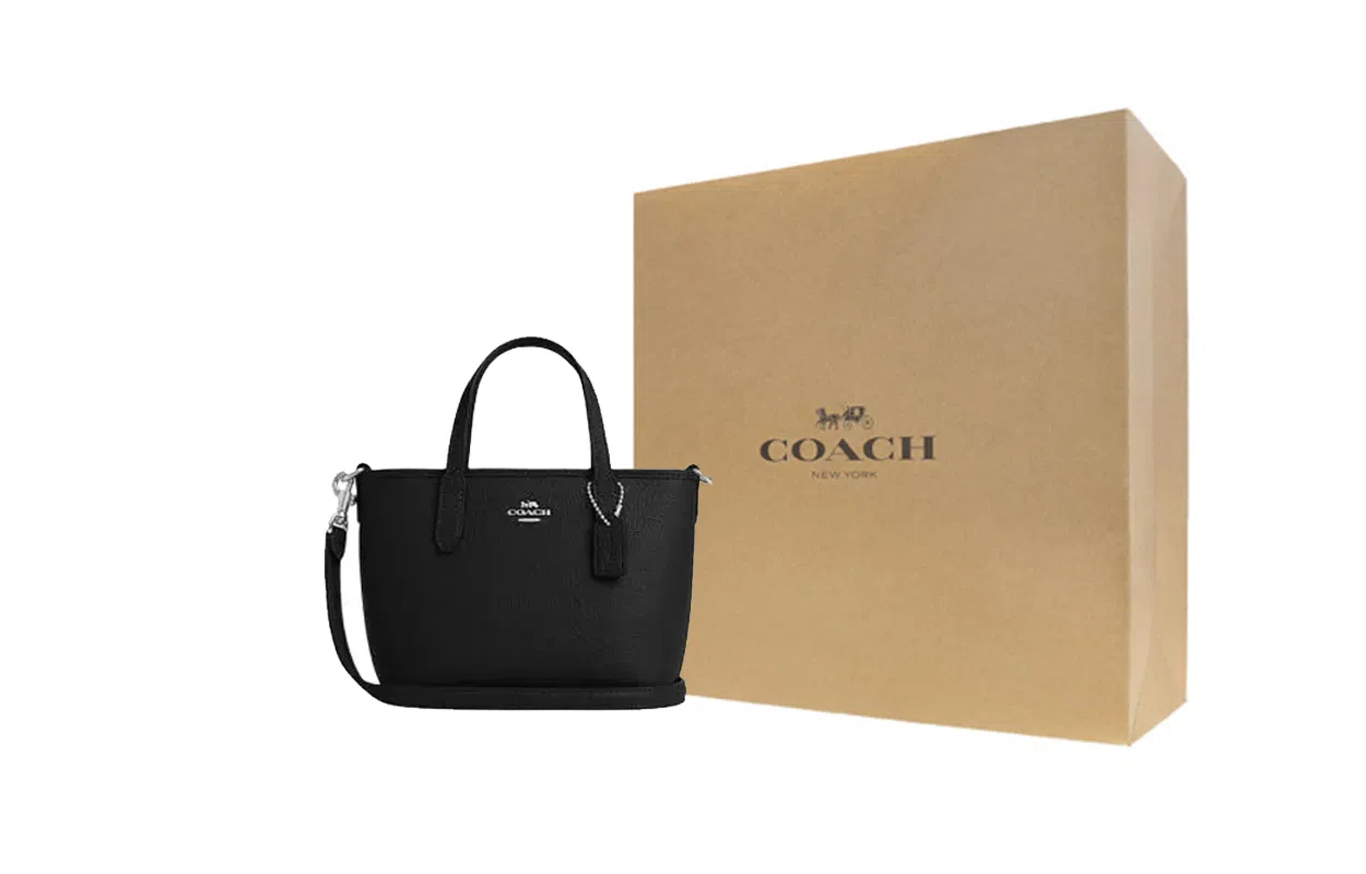 COACH City 15