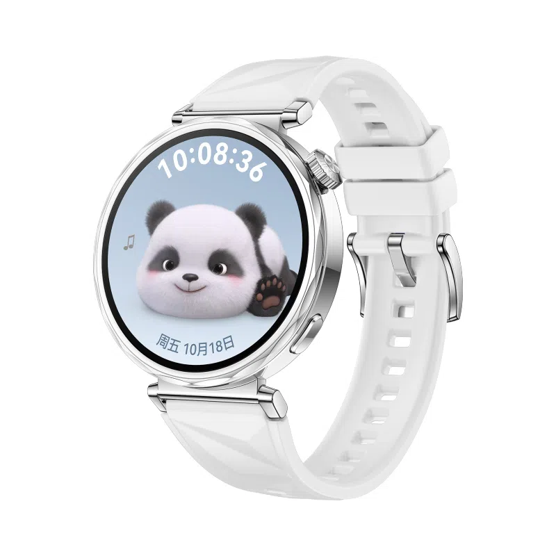 biaodaige watch4rogt5pro