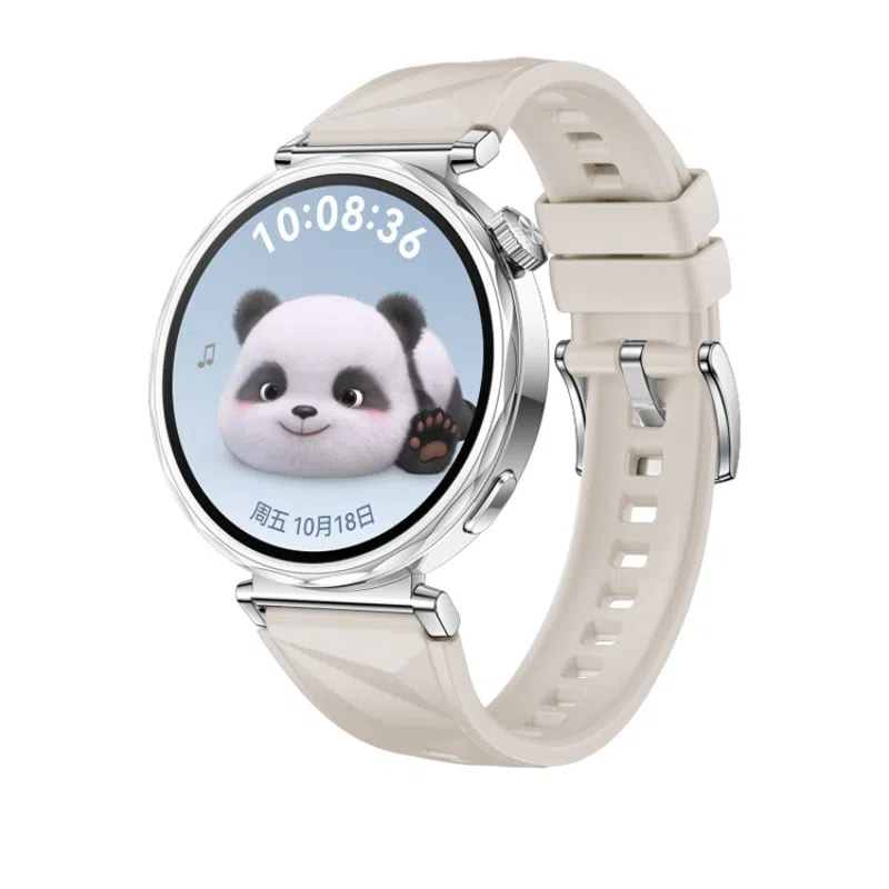 biaodaige watch4rogt5pro