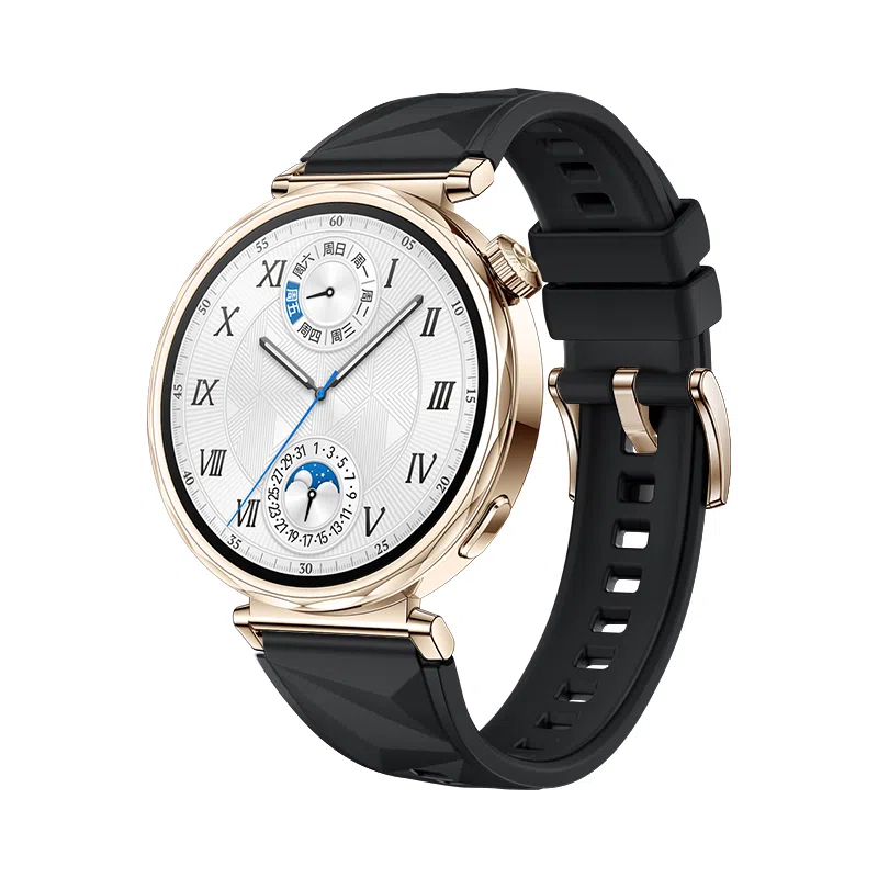 biaodaige watch4rogt5pro