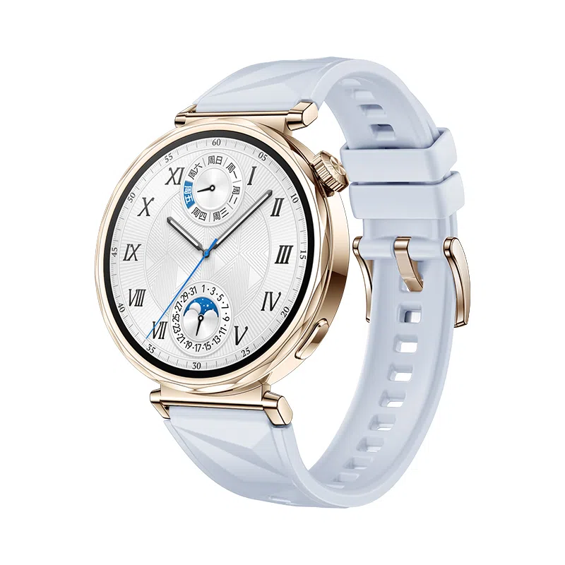 biaodaige watch4rogt5pro