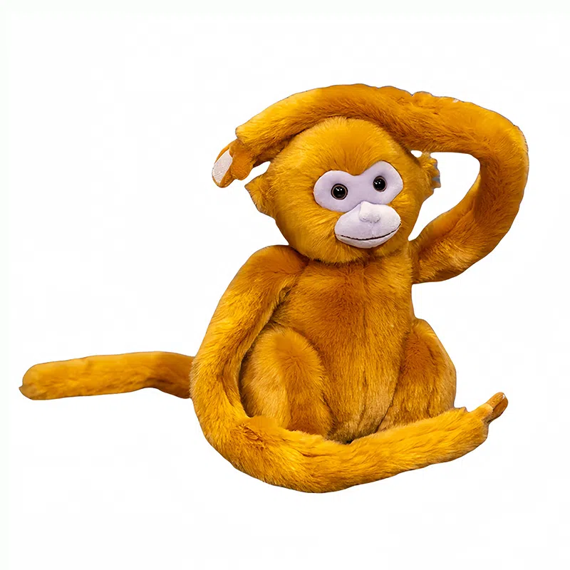 25cm