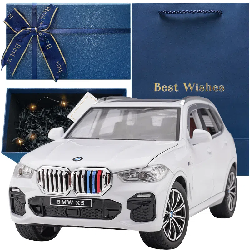 TY MODELS BMW X5 124