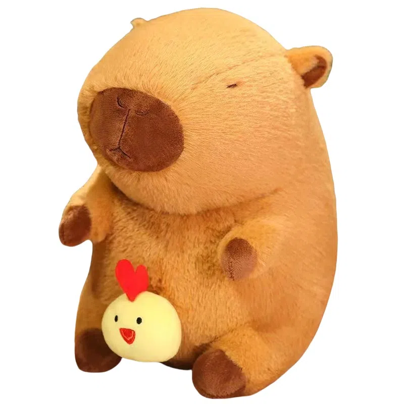 23cm35cm45cm55cm90cm