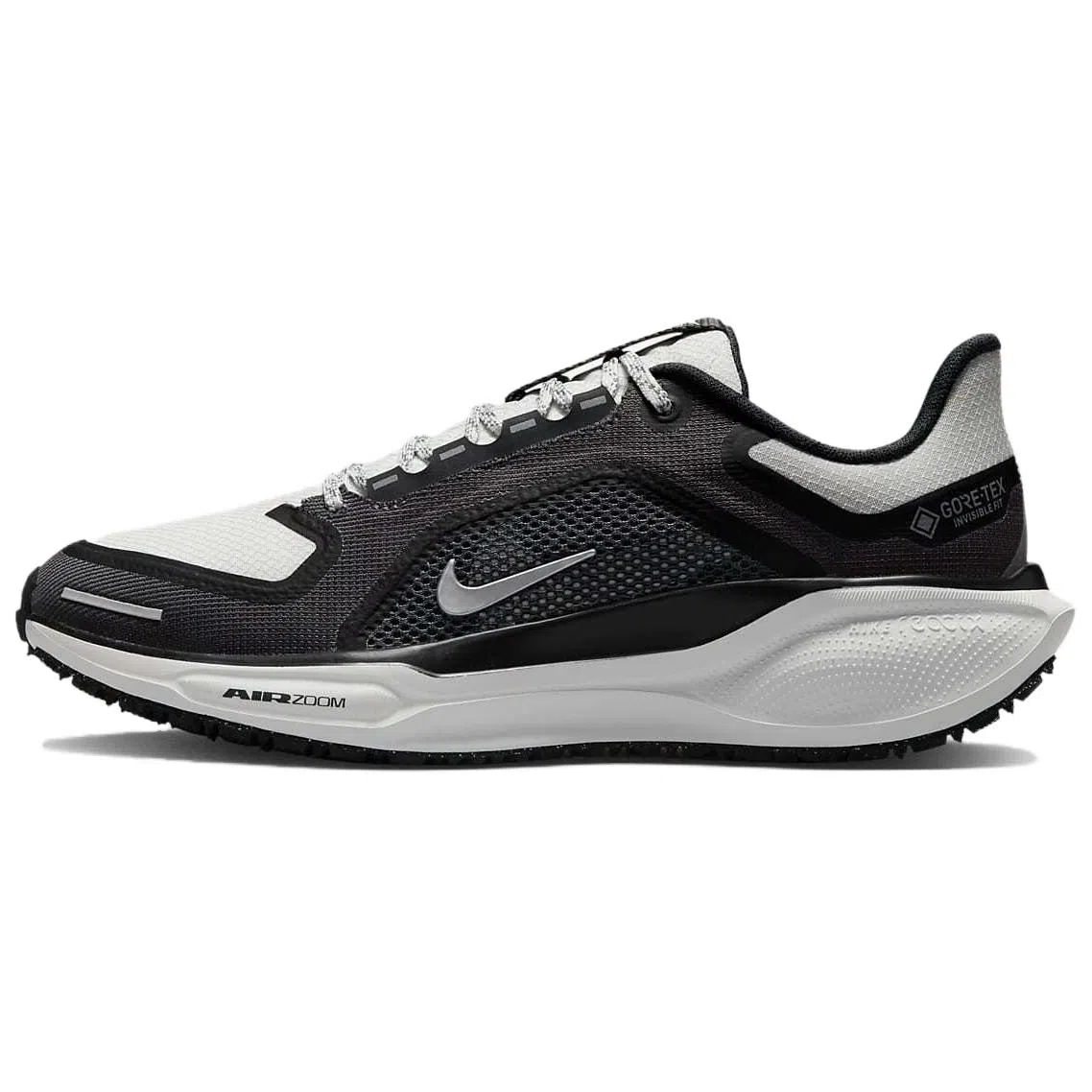 Nike Pegasus 41 GORE-TEX