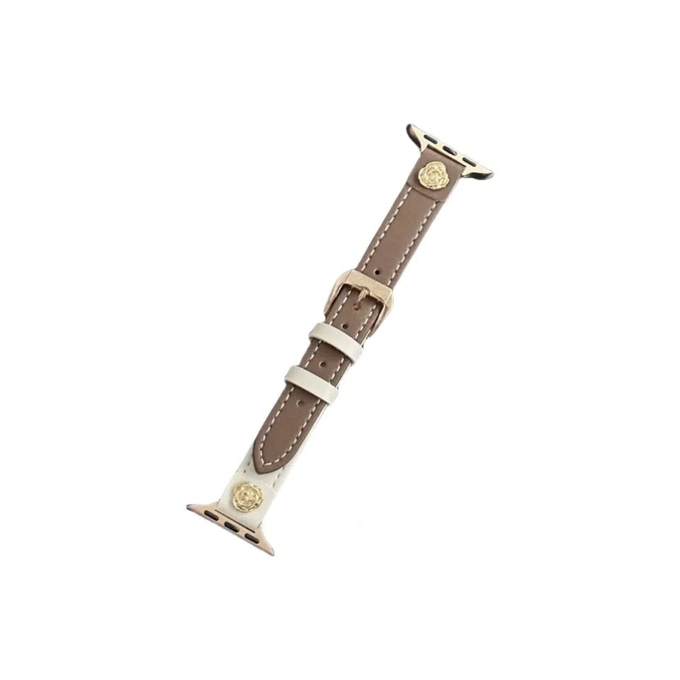 AOMN B-47 applewatch876453ses9