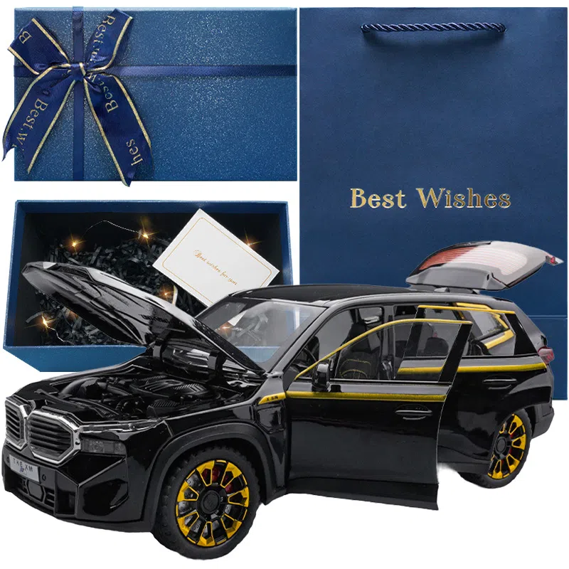 TY MODELS BWM XM 124