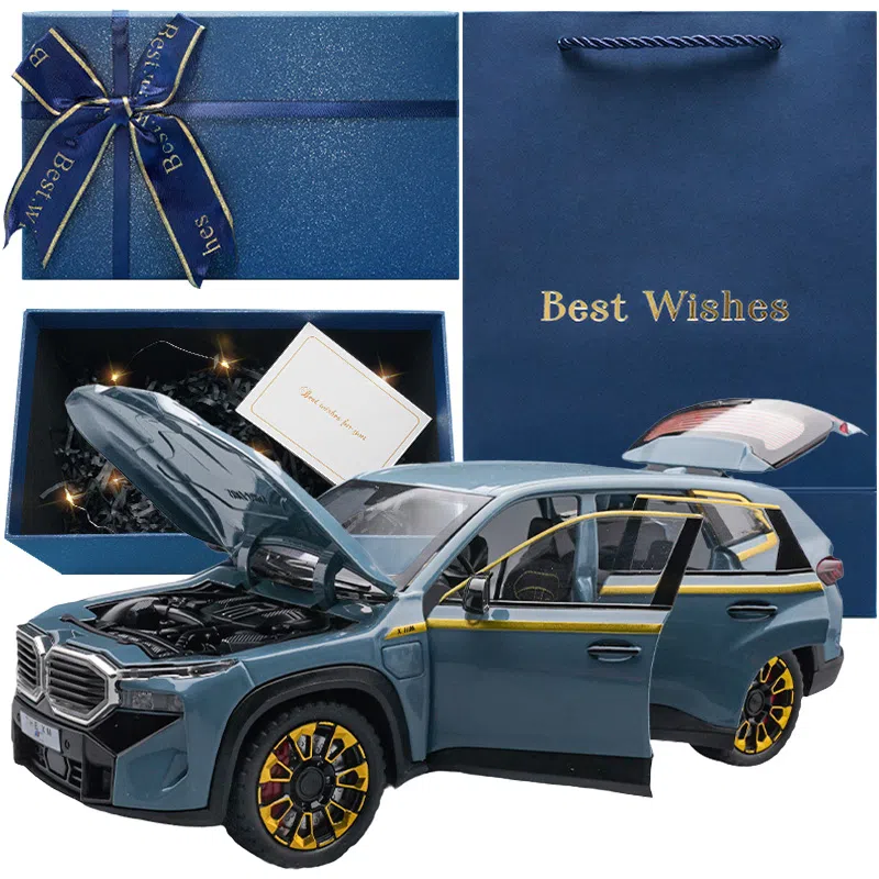 TY MODELS BWM XM 124