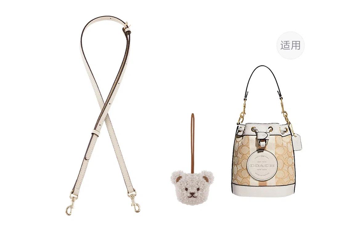 miniDempsey DIY COACH