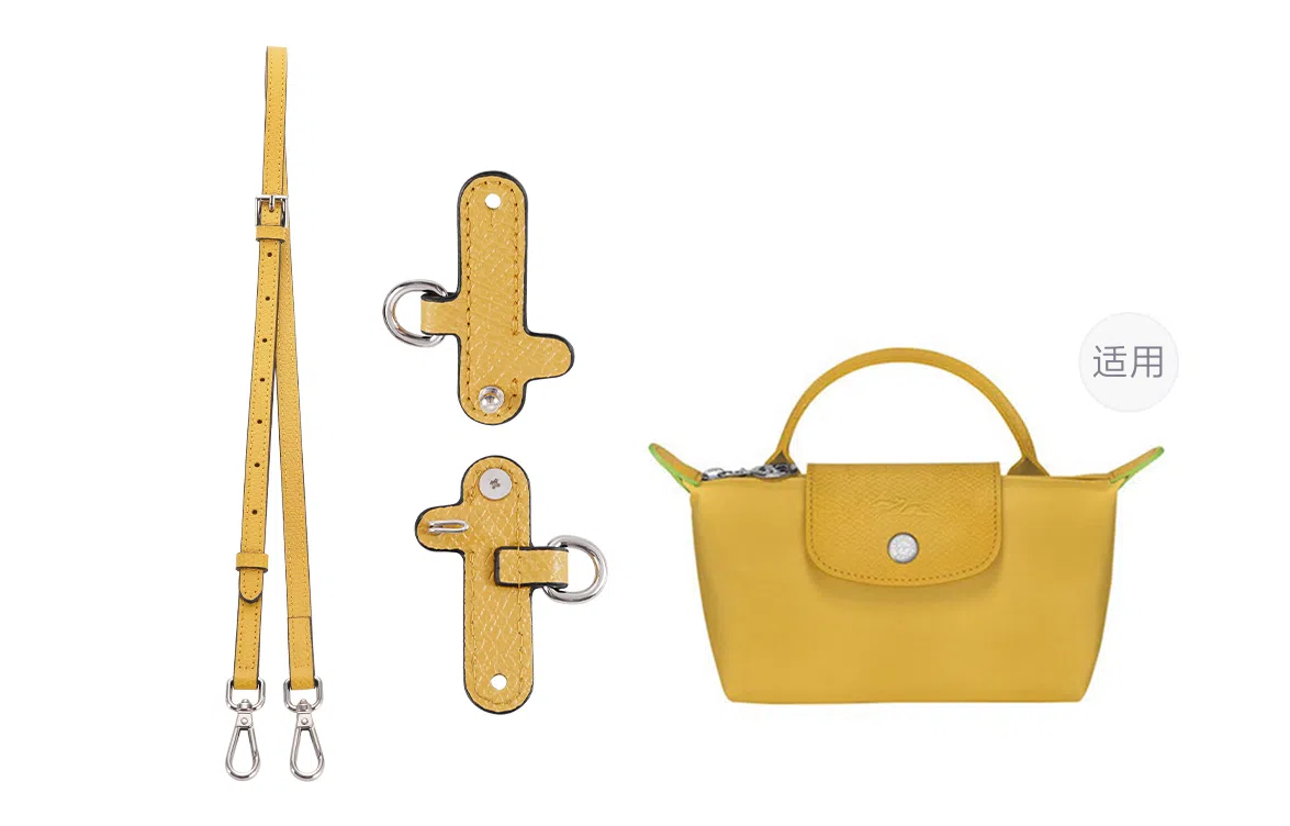 Longchamp Mini Bag Strap Set