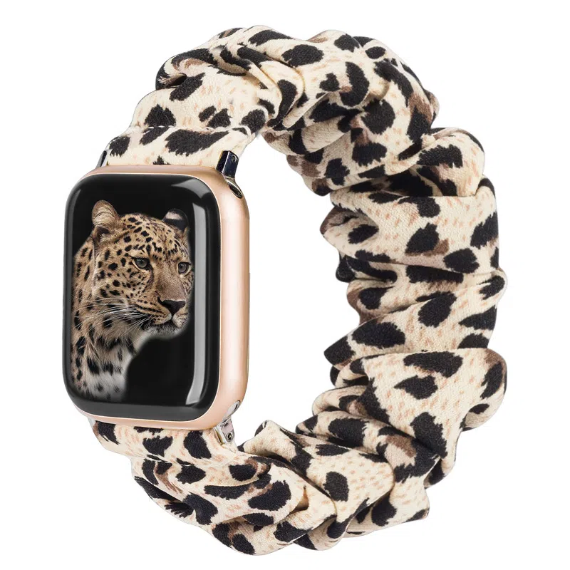 AOMN B-106 appleiwatchS8765