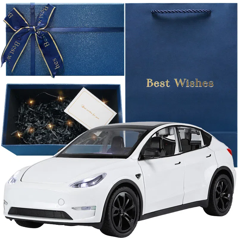 TY MODELS Model Y 124