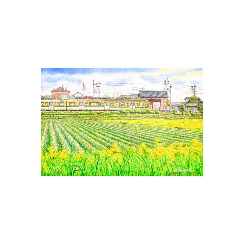 3D-JP 160pcs Q1189