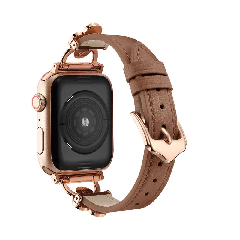 puins AppleWatch98765432SE1