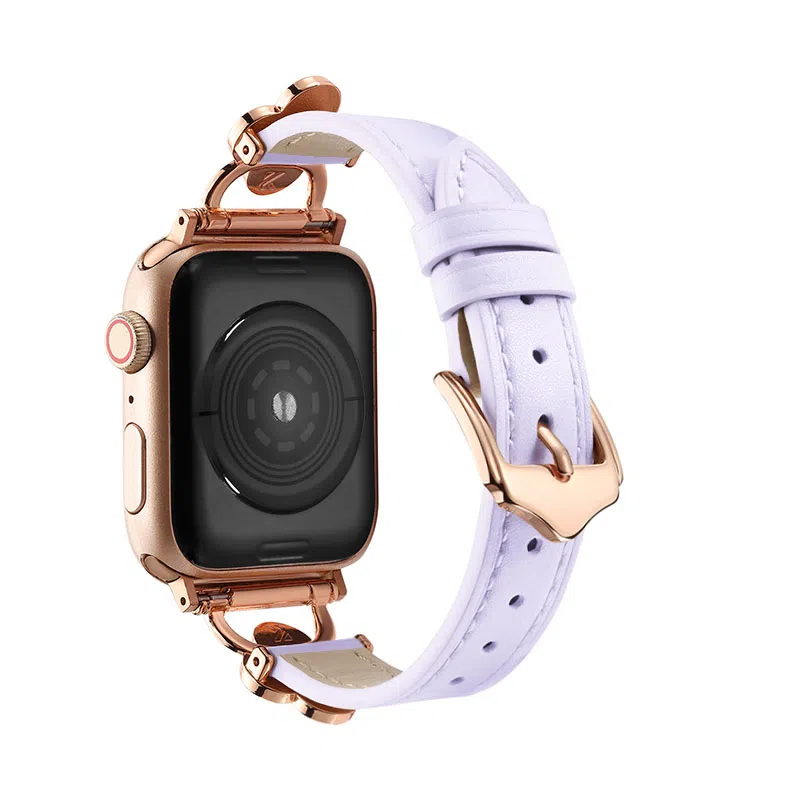 puins AppleWatch98765432SE1