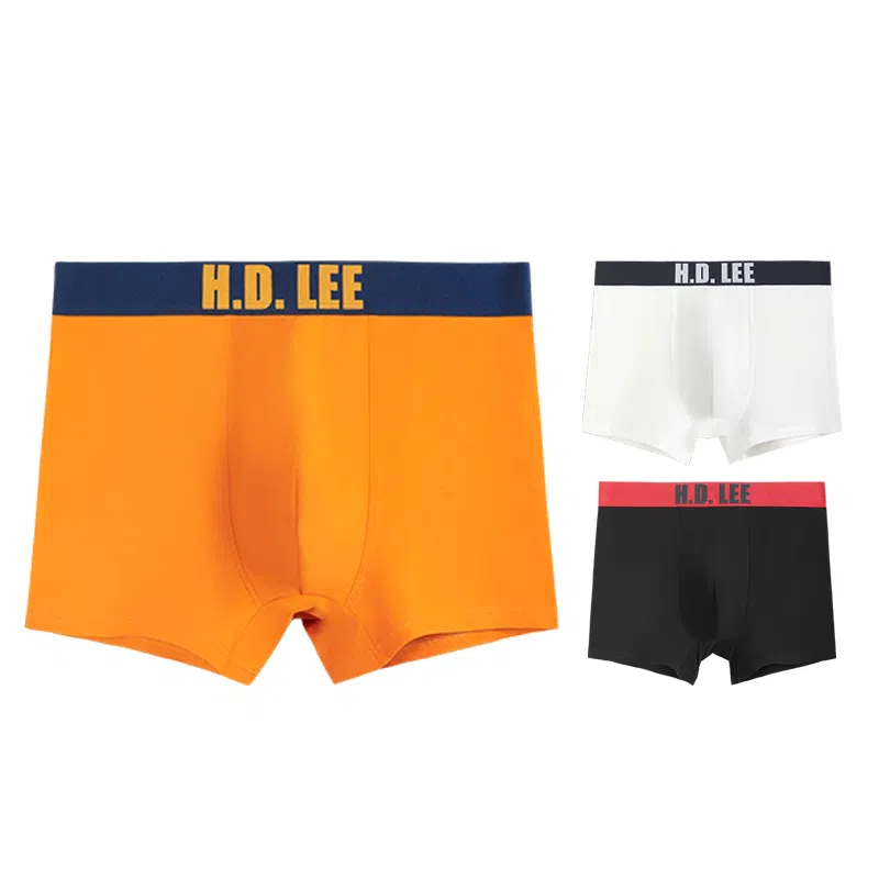 Lee 3