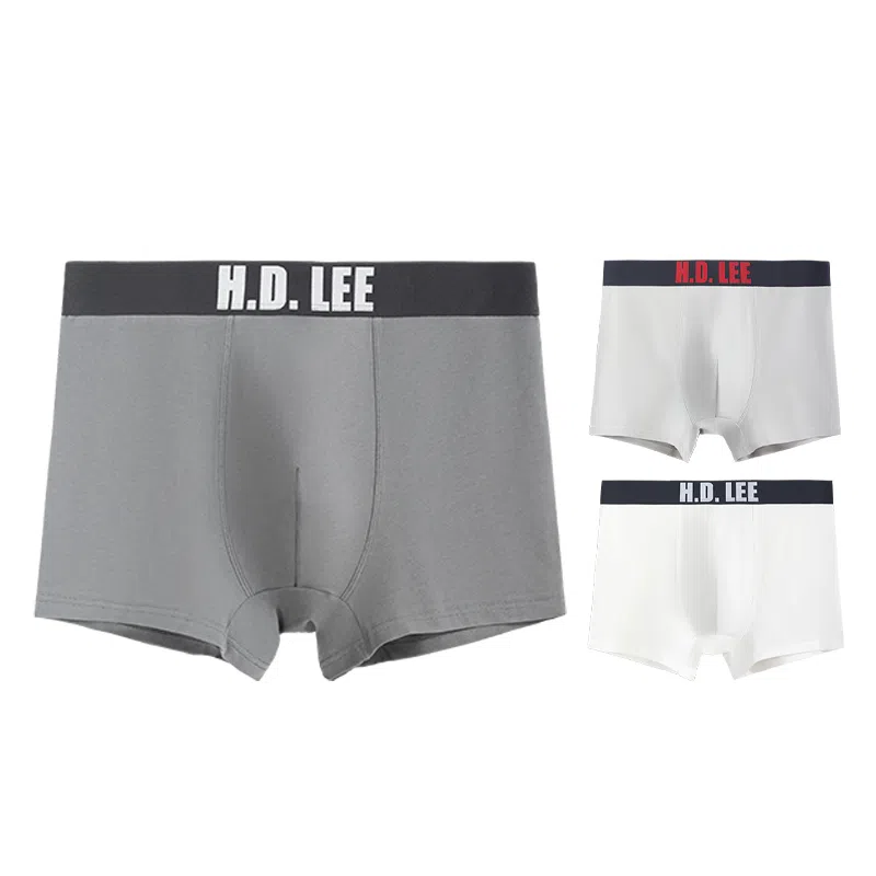 Lee 3