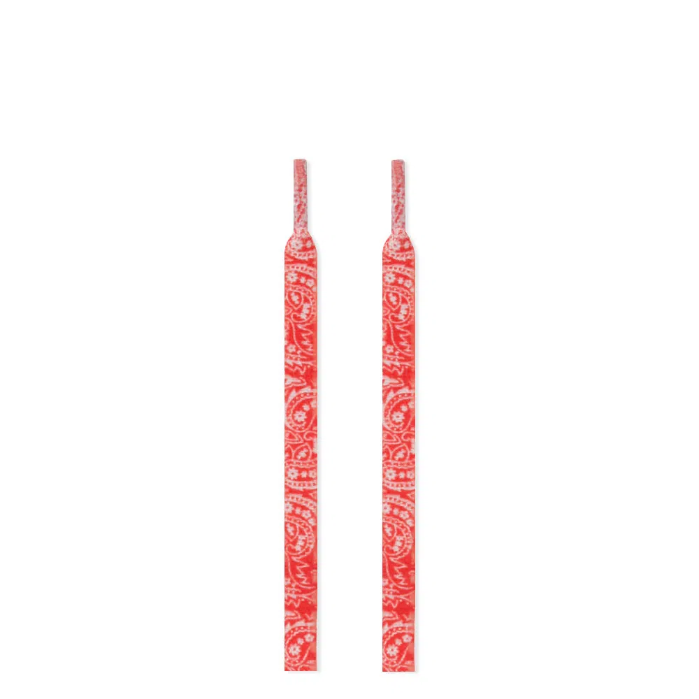 sneaker monster AJ1DunKnikeSamba