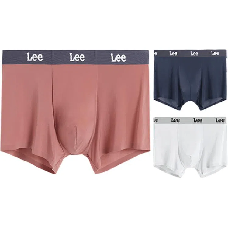 Lee 3