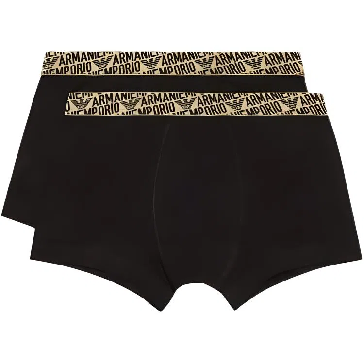 EMPORIO ARMANI FW24 Logo 2