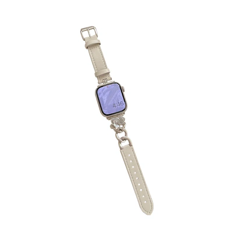 MSSM apple watch iwatchS10S987654SE123ultra
