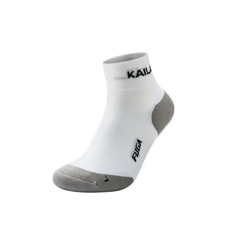 KAILAS 1