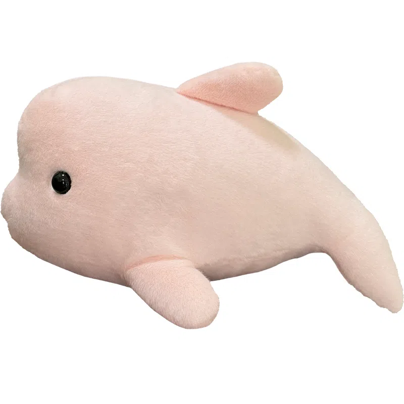 28cm42cm