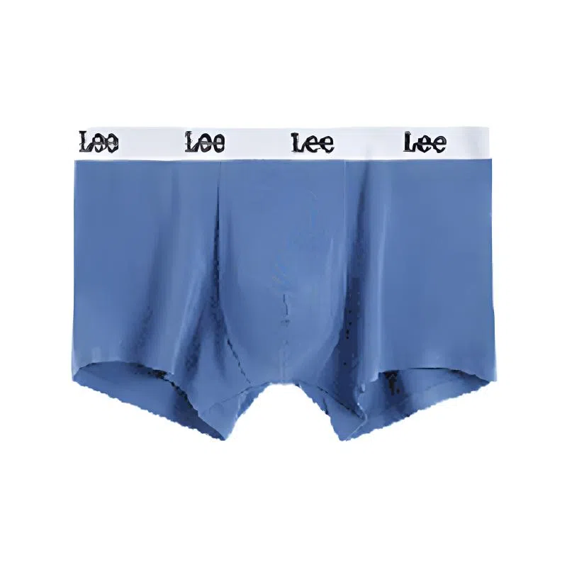 Lee 1